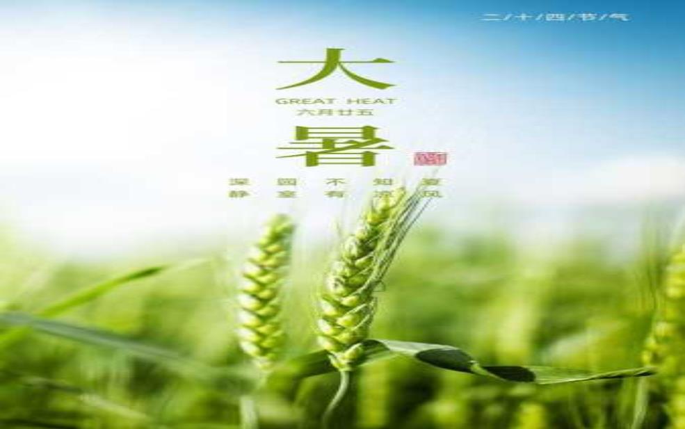 高温天气务农句子:收获的喜悦能抵挡酷暑吗?