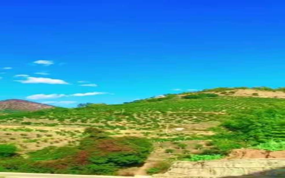 丽江市华坪县天气,适合出去玩吗