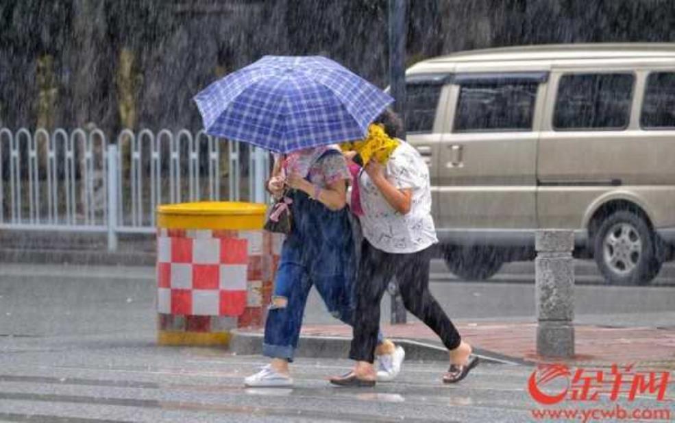  苍梧天气,出门要带伞吗 