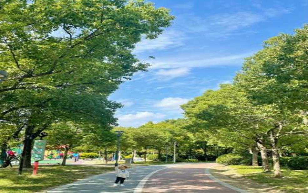 藁城天气,适合去户外运动吗