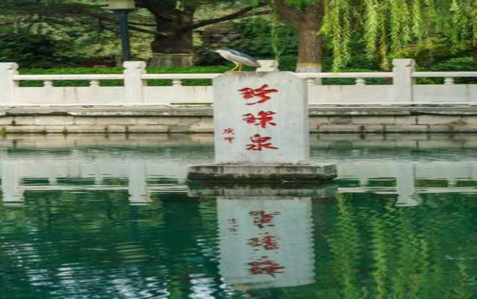  水冶珍珠泉的神秘魅力，您了解多少？ 