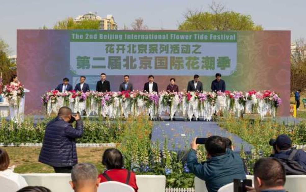 花潮论坛, 了解最新花卉信息与交流平台
