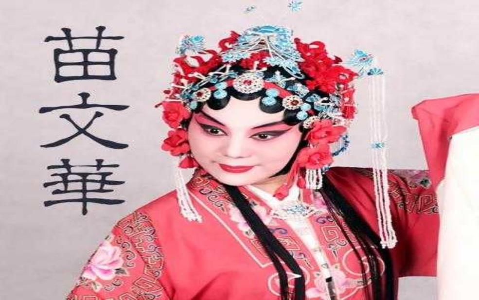 苗文华个人简历, 了解他的职业发展历程