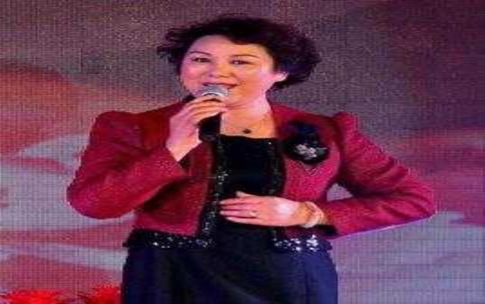 苗文华个人简历, 了解他的职业发展历程 