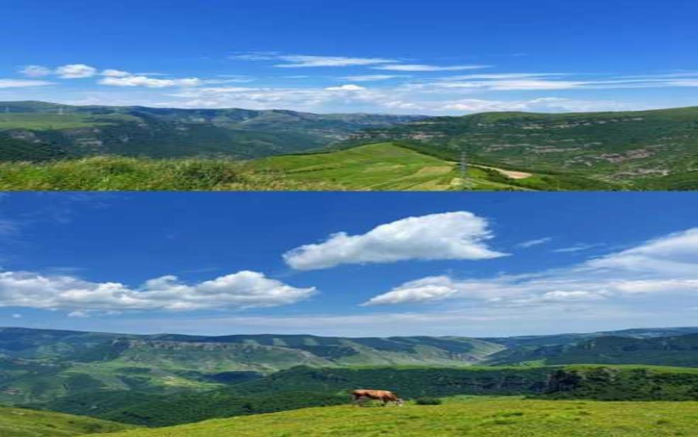  麻田岭旅游攻略, 必看景点与实用贴士 