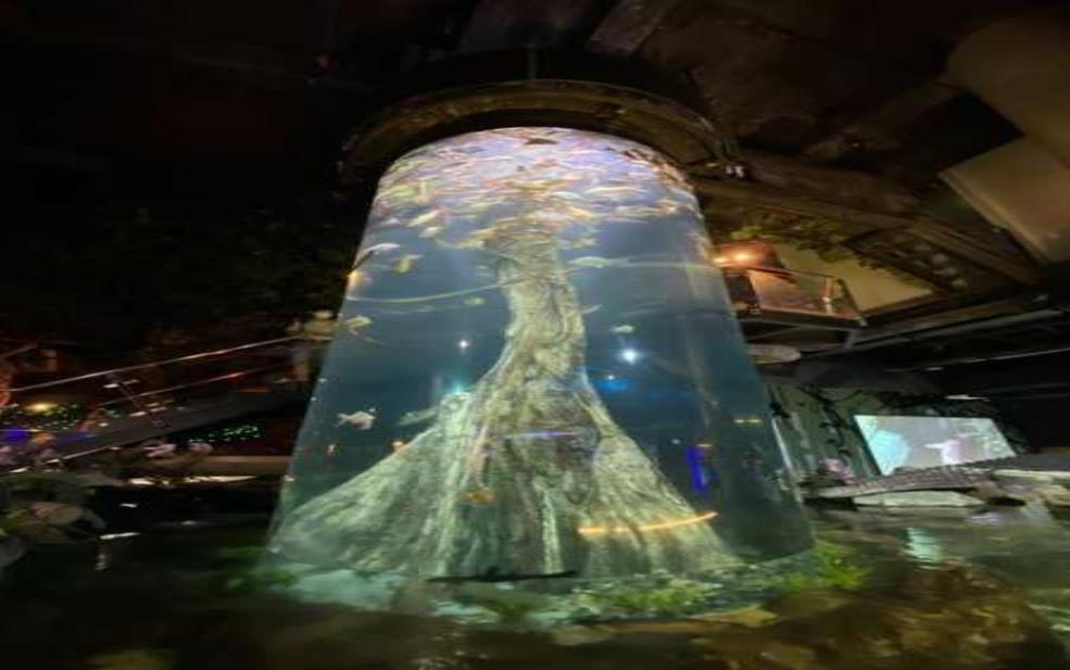  昆明友诚水族门票, 购买攻略和游玩亮点解析 