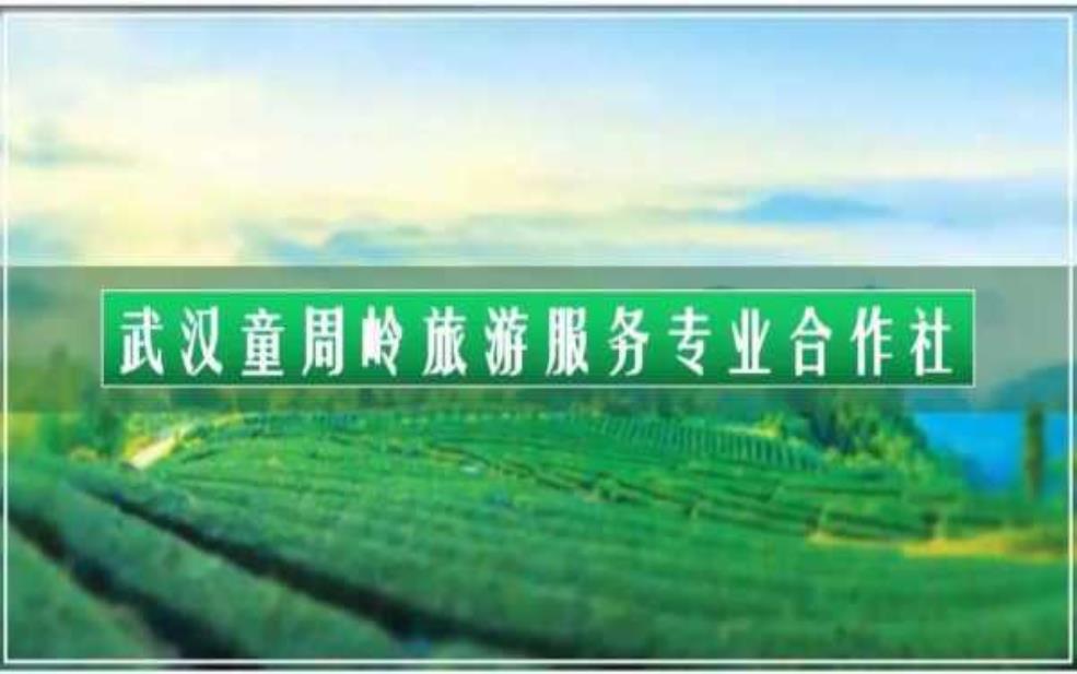  武汉童周领村需要门票吗？探秘门票详情与游玩攻略。 