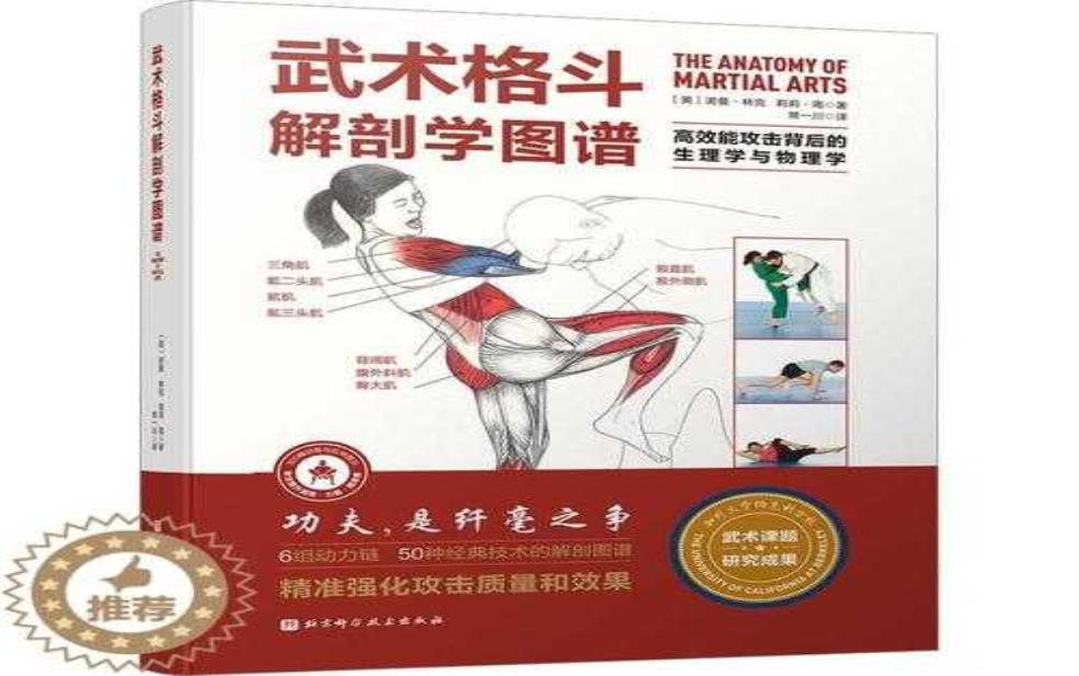 伏凤十八式, 了解其背后的武术精髓