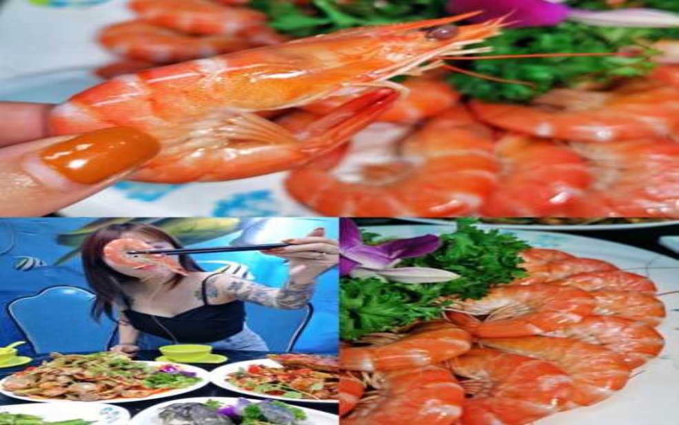  四珍鱼园, 体验独特的水产美食之旅 