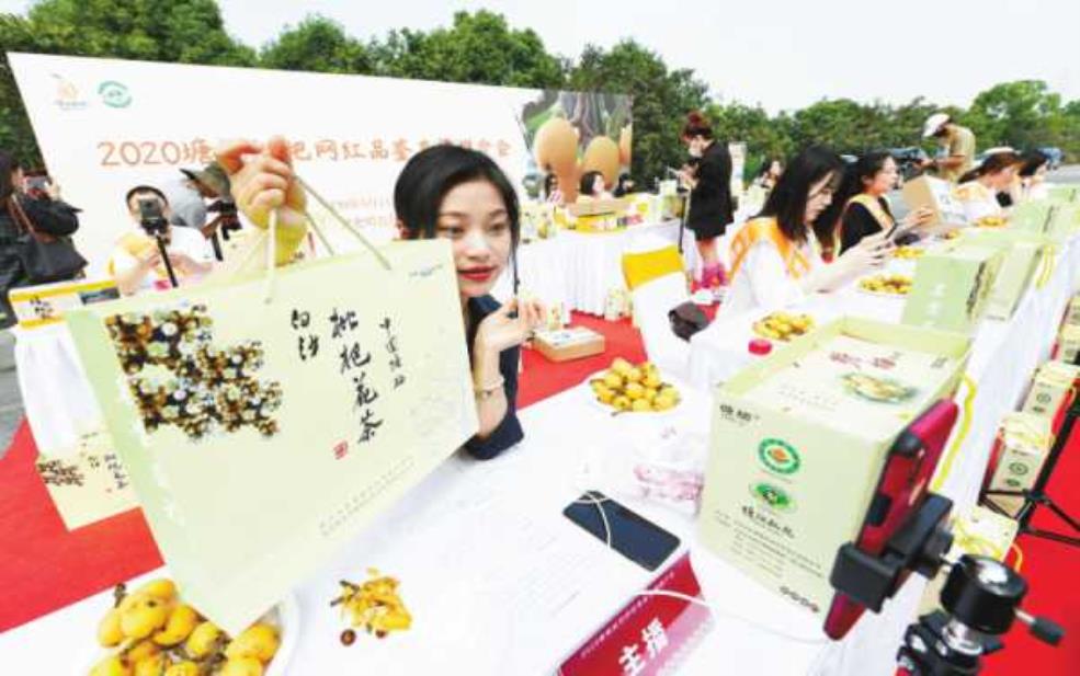  塘西枇杷节,品尝美味的初夏盛宴 