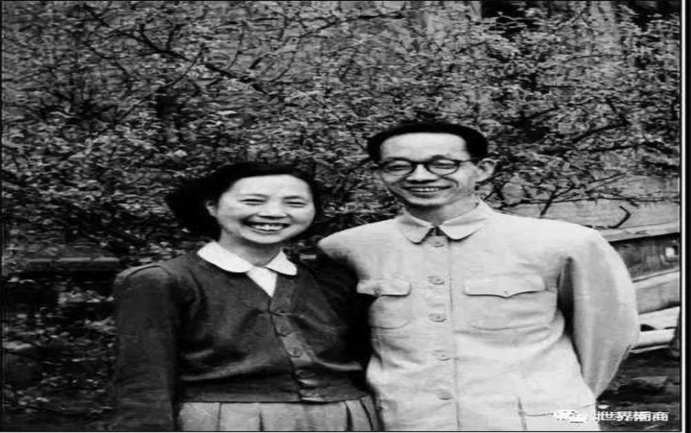  柯华的女儿，究竟有何特别之处？ 