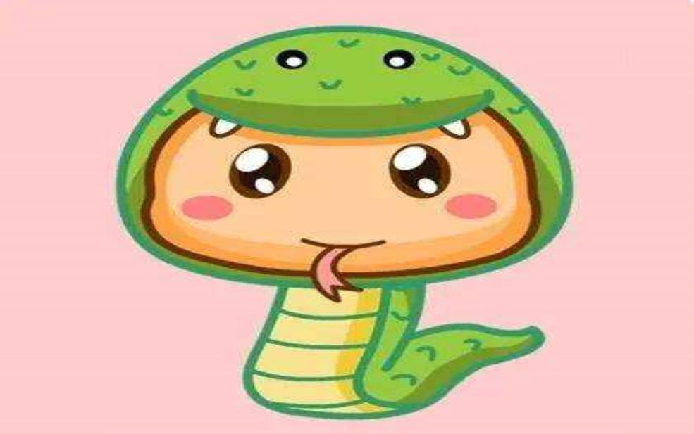 苏六娘属什么生肖,解密她的生肖性格特征