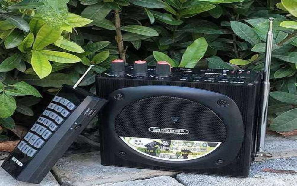  野鸡叫声扩音器, 让自然声音更动人 