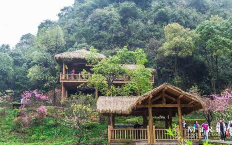  陶山庄园：探秘世外桃源的绝美风景与体验 