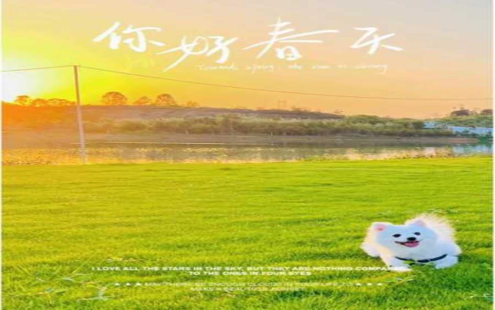 桃江旅游, 解锁你的完美假期计划