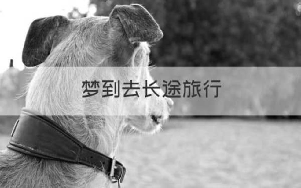 梦见去旅游了,预示着什么样的生活变化?
