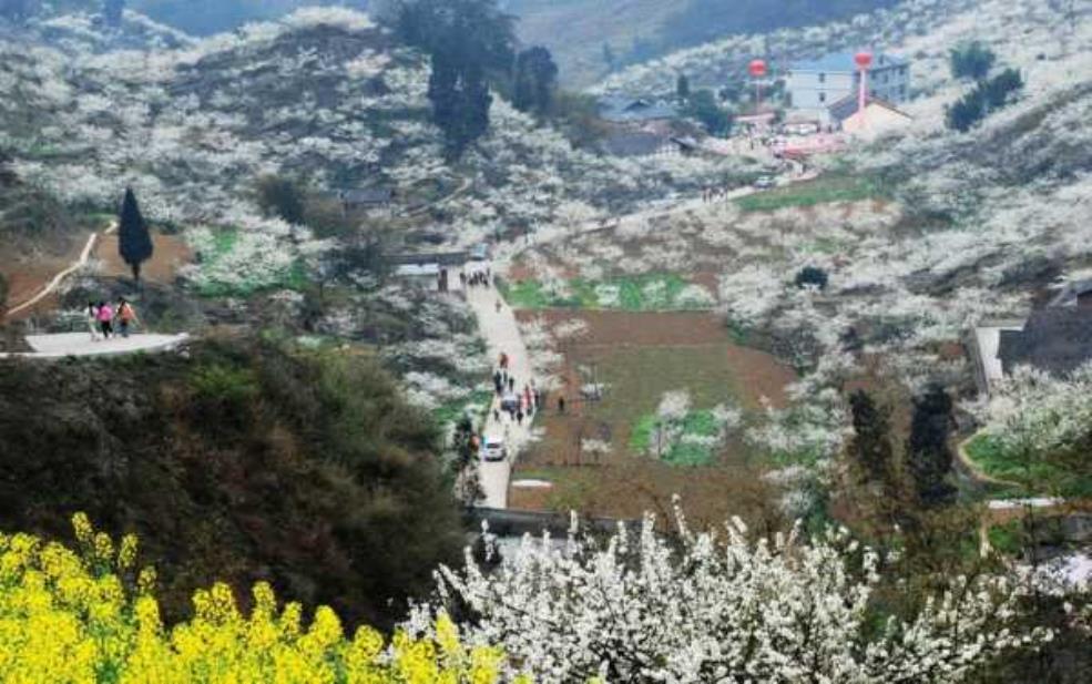 筠连旅游, 探寻这座隐藏的世外桃源