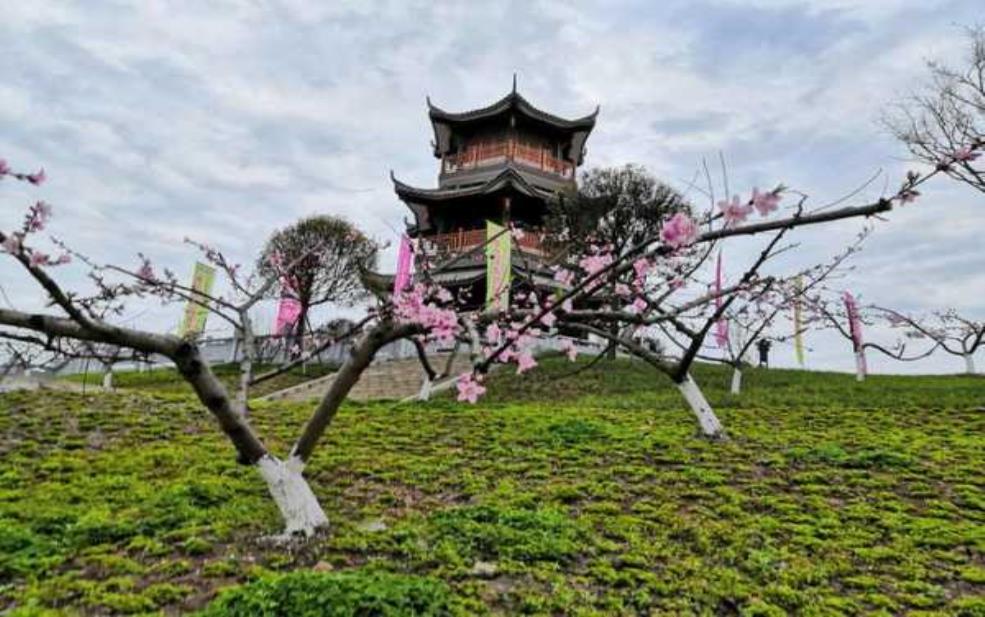 西充旅游, 探索隐藏的自然之美与文化魅力
