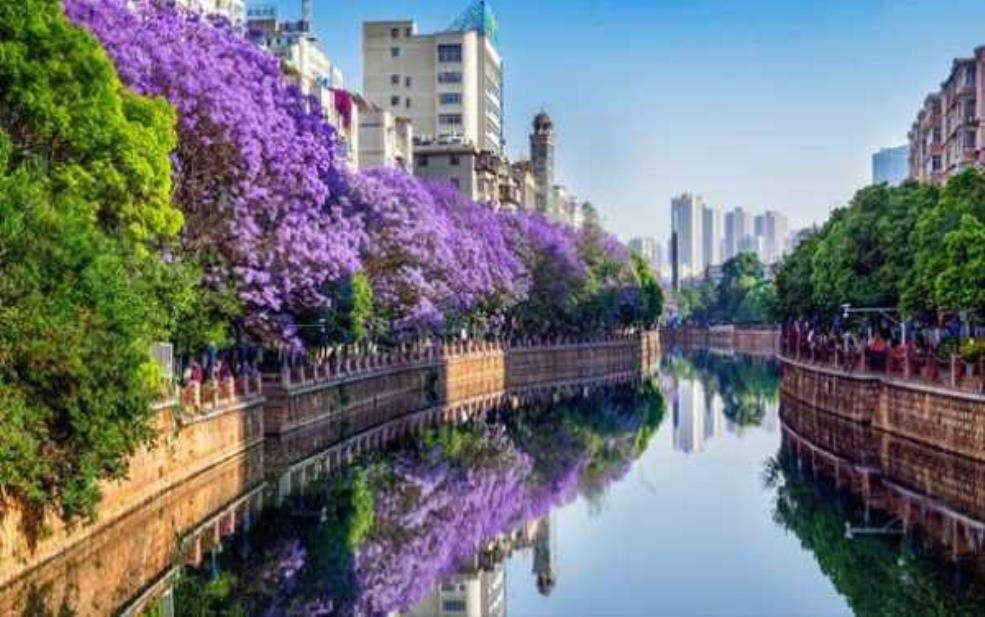  云南昆明旅游, 探索这座花城的魅力 