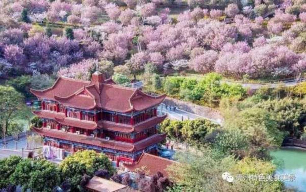 园林旅游, 如何选择最佳目的地?