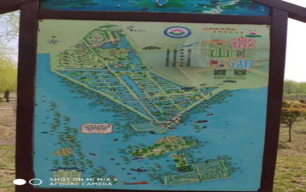  微山湖旅游攻略, 如何规划完美的湖畔之旅？ 
