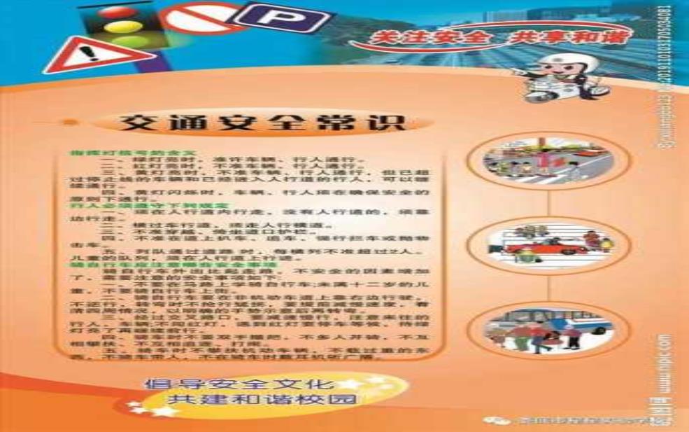 旅游交通安全, 如何确保顺畅与安全?