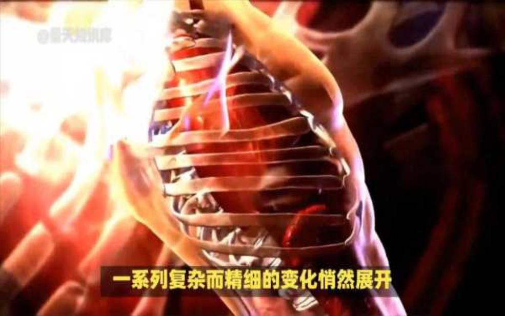  死亡旅游, 探寻生命背后的故事 