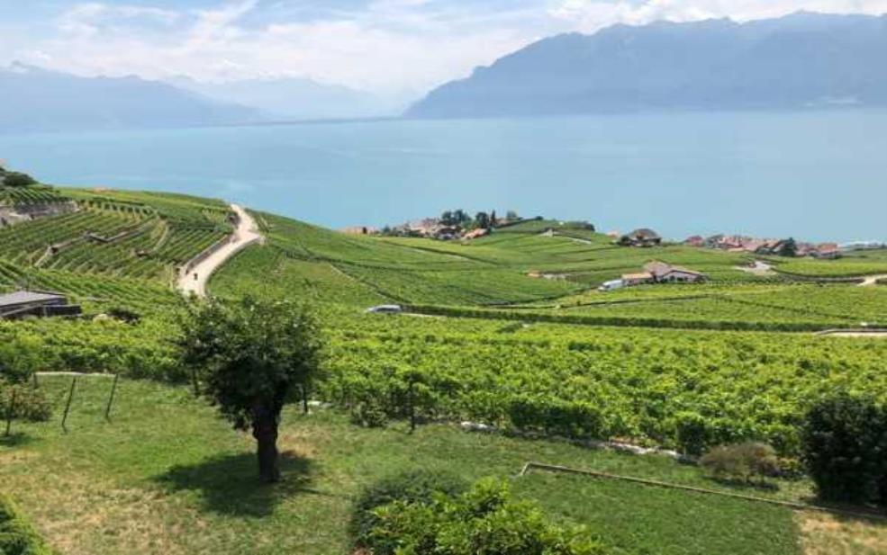  沃旅游, 让你的旅行更加轻松愉快 