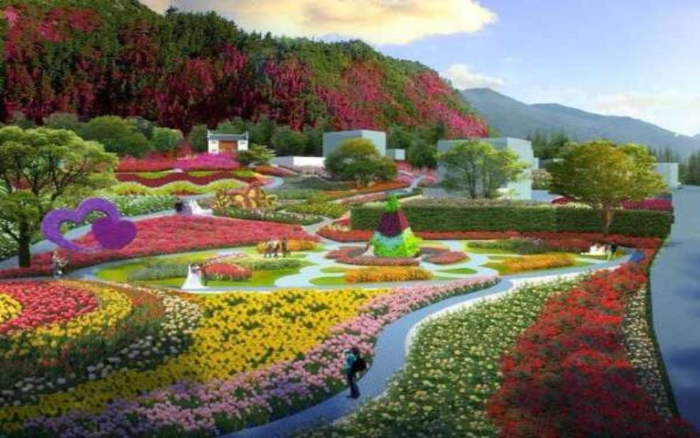 赏花旅游, 找到最美的花海目的地
