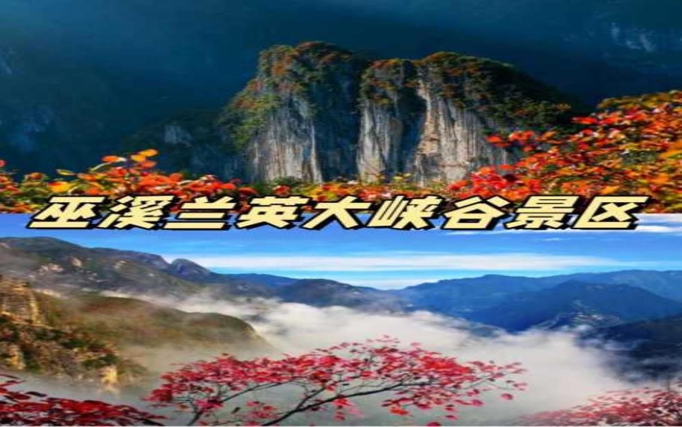  重庆五一旅游,最佳景点和活动推荐 