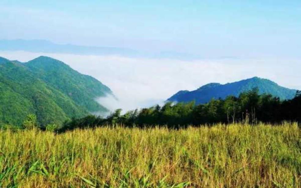 重阳旅游,适合家庭出游的好去处吗?