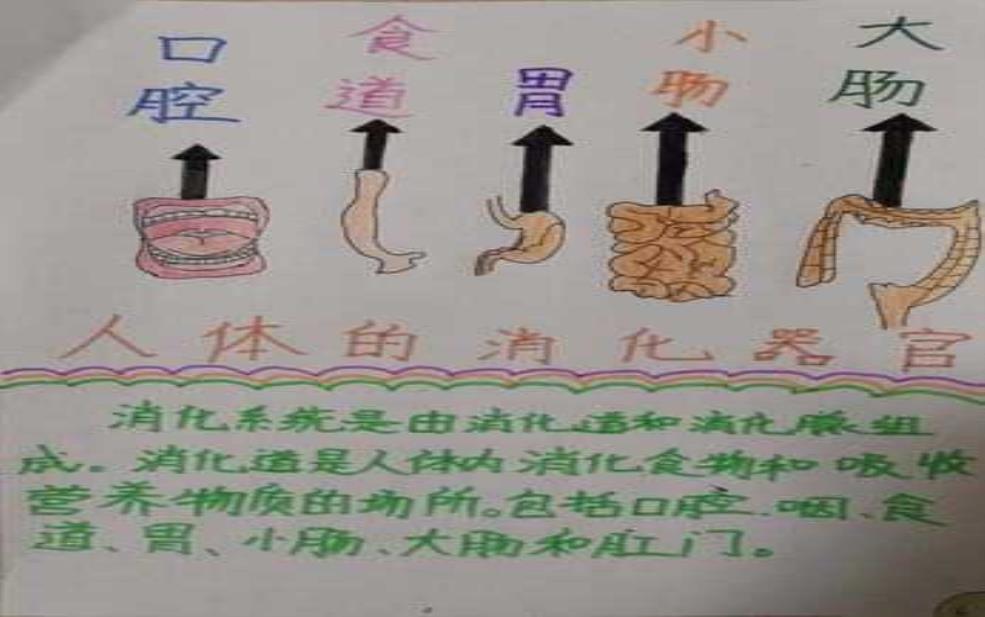  饮食文化旅游, 如何体验地道美食之旅_ 