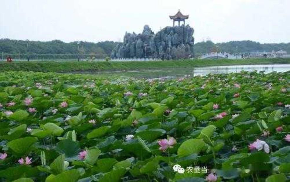  湖镇镇旅游, 你准备好探索了吗？ 