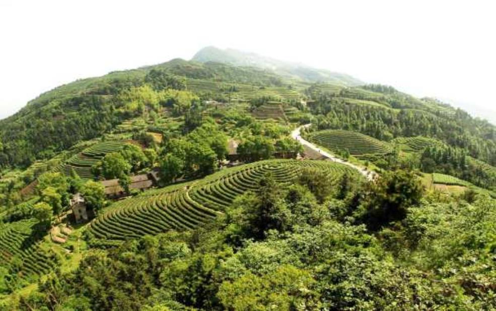  茶山旅游，最值得体验的景点有哪些？ 