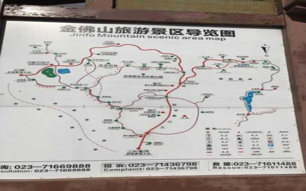  金佛山旅游攻略, 全方位指南让你畅游无忧 
