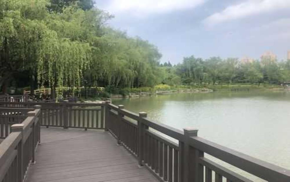  金桥旅游, 探索最佳去处与攻略 