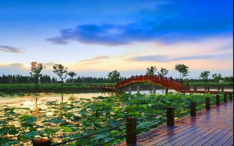 高淳旅游, 探索最美自然与人文景观