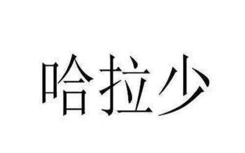 哈拉少什么意思, 解析其背后的文化含义