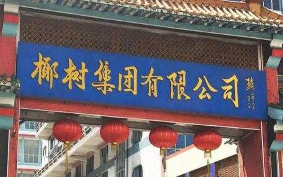 椰树集团是国企吗, 深入解析其背景与性质