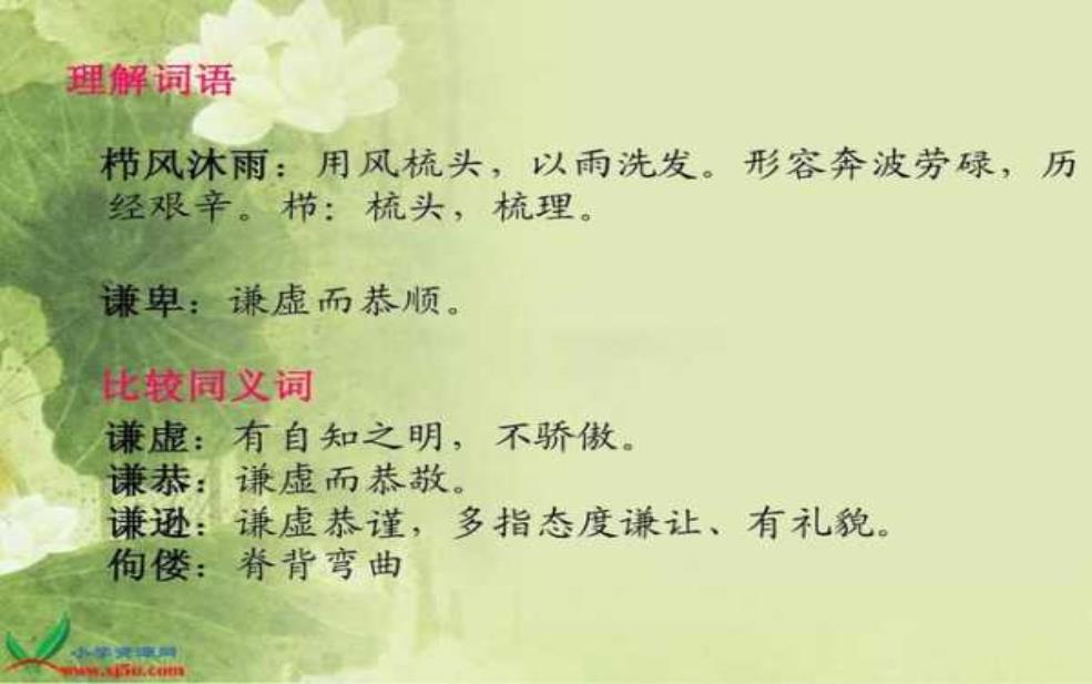 避风塘什么意思, 探索其背后的文化含义