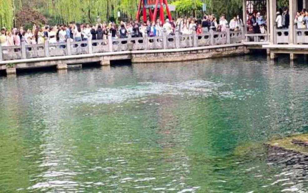  一万泉景区, 探秘泉水的美丽奇观 