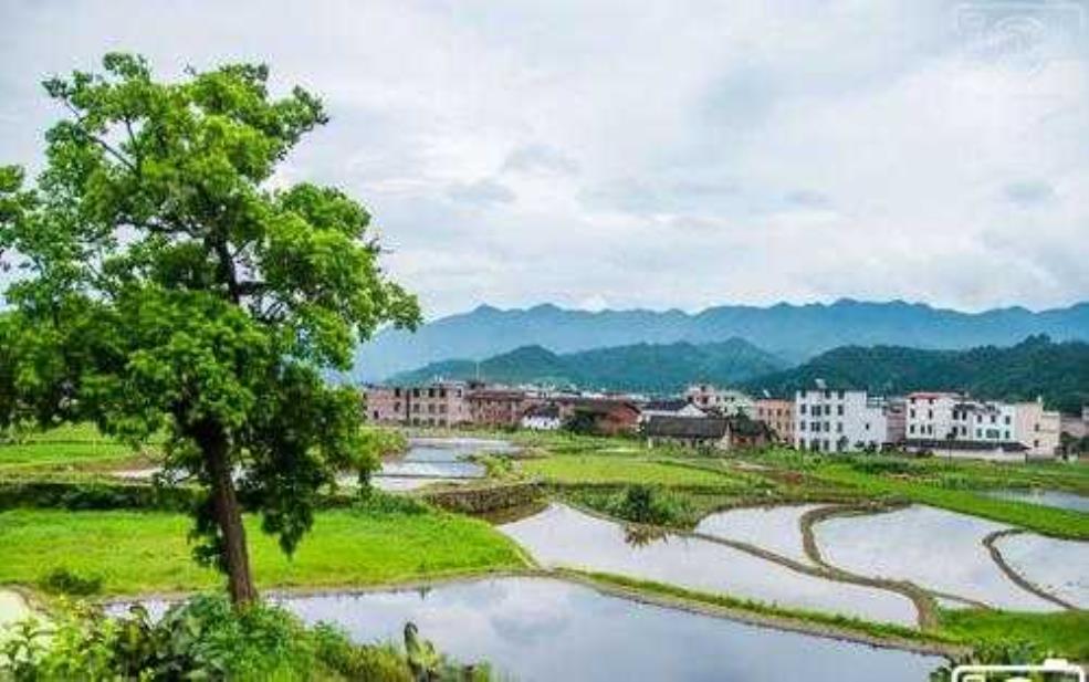  上岗村的美丽风景,你知道吗？ 