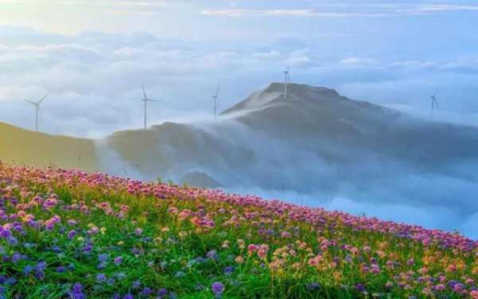  云中花都在哪里，探索这个梦幻之地的秘密 