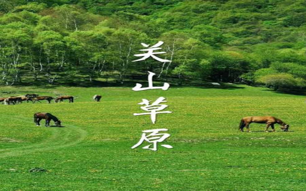  关山牧场海拔，为什么成为户外探险的热门选择？ 