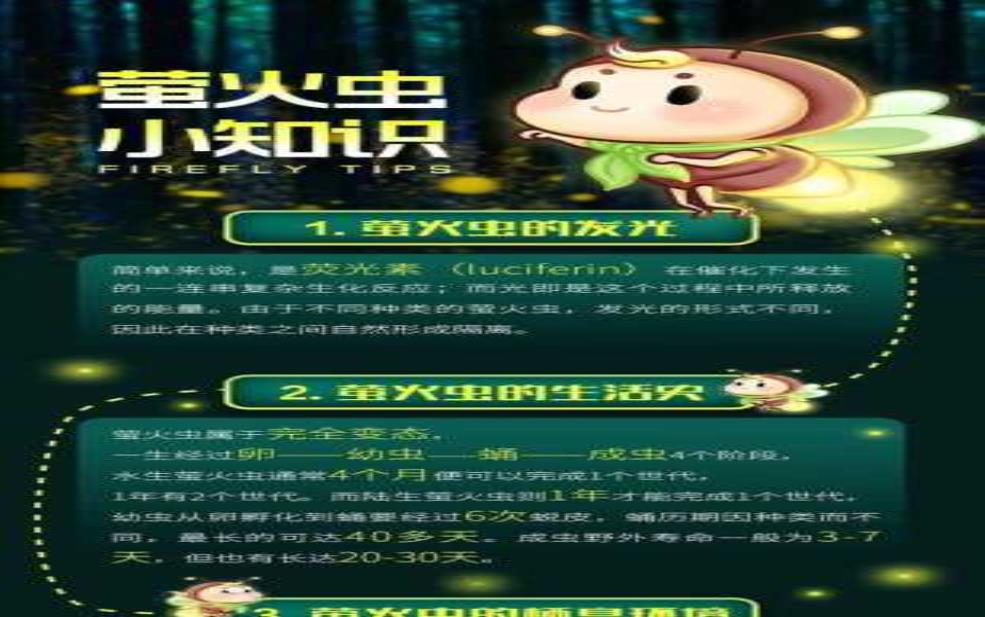  发光虫的神秘世界, 它们为何会发光？ 