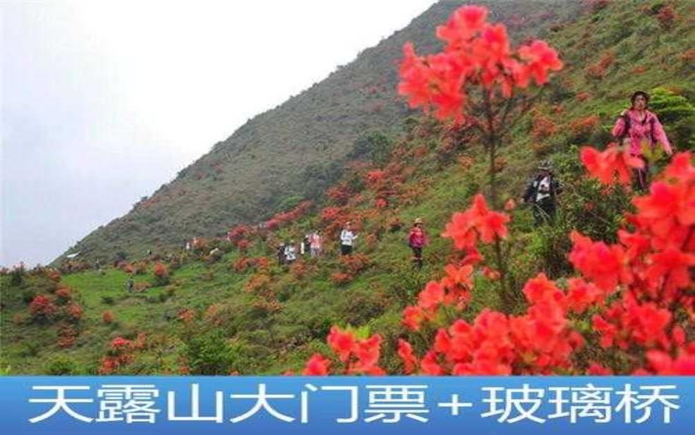  天露山门票多少钱,适合全家出游吗？ 