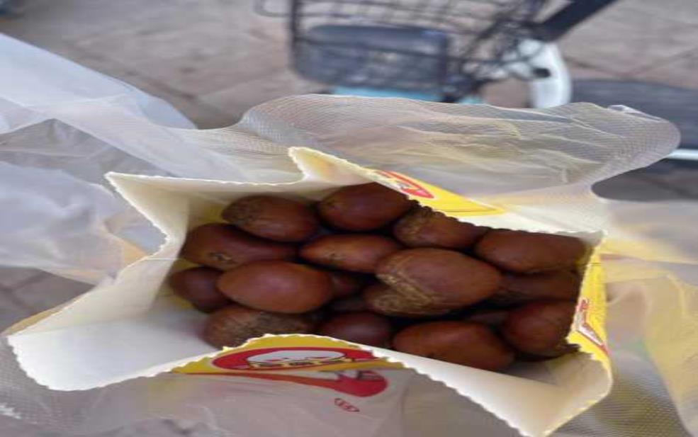 皇栗皇:如何挑选与食用的最佳时机?