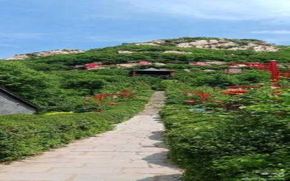象牙山温泉度假村, 享受宁静的疗愈之旅