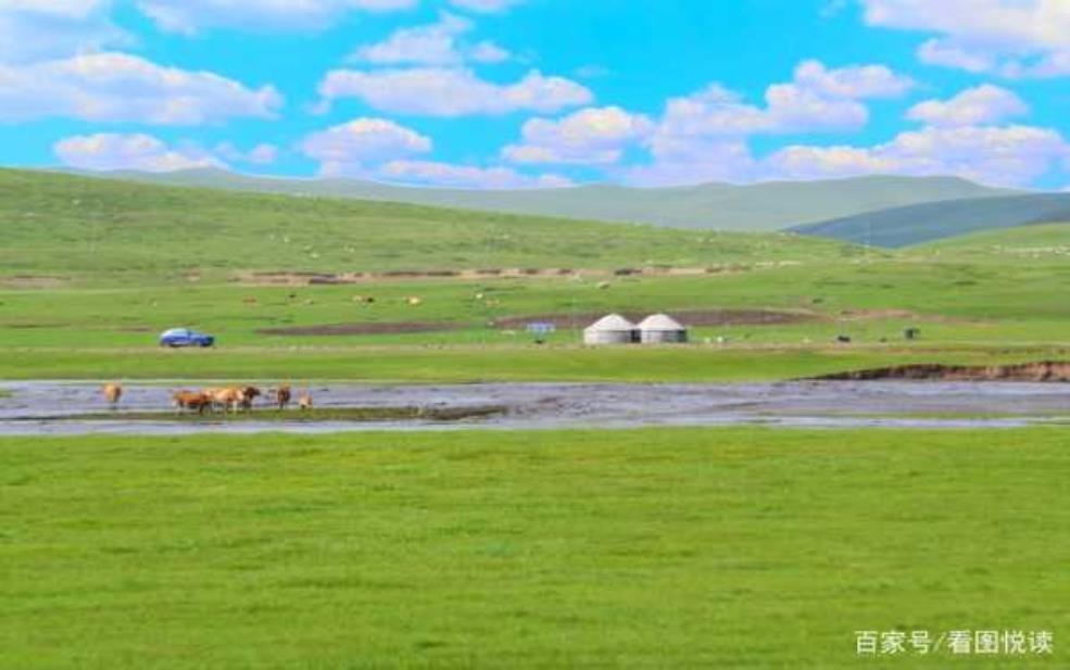  贡格尔草原天气, 适合旅行的最佳时机是什么？ 