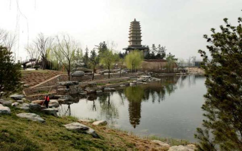  酃湖公园, 探索自然之美和休闲乐趣 